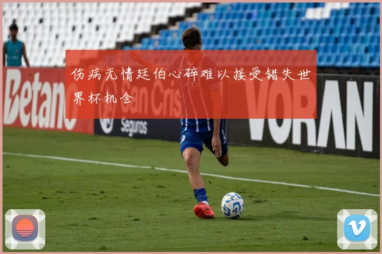 伤病无情廷伯心碎难以接受错失世界杯机会