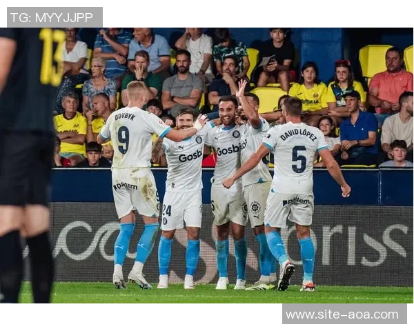 西甲联盟因球场积雪达20厘米申请推迟比赛天气影响引发关注